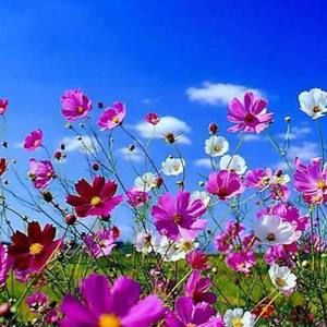 Meet your Posher, Georgia-anna